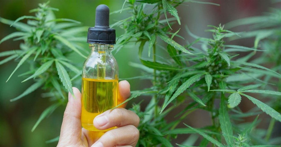 Efficacy of CBD for Nausea Relief