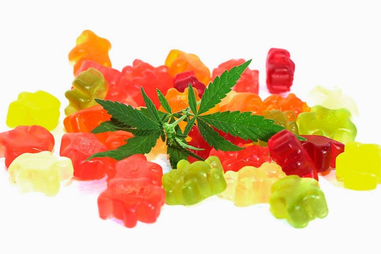 CBD Gummies: A Safe and Soothing Option for Seniors