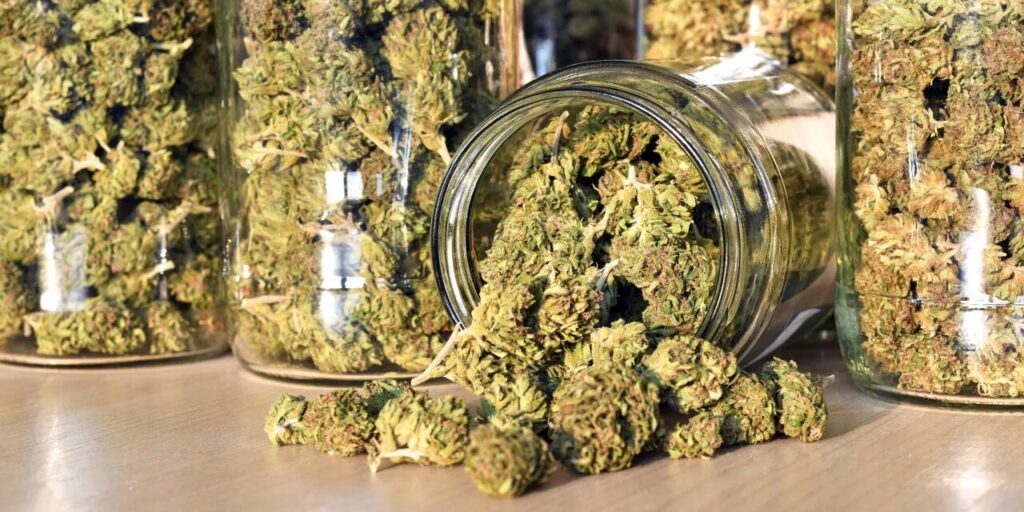 The Potential of CBD in Managing Chronic Pain What You Need to Know