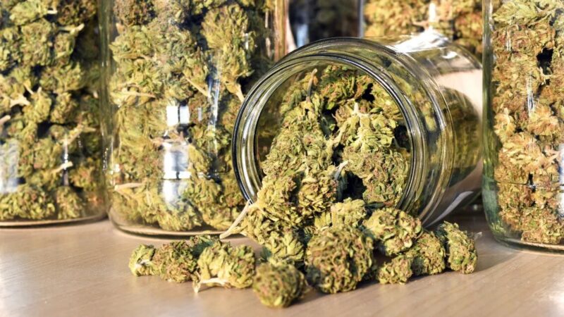 The Potential of CBD in Managing Chronic Pain: What You Need to Know