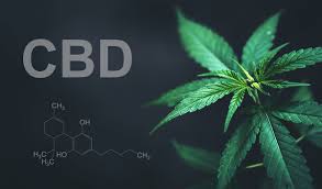 CBD and Its Source