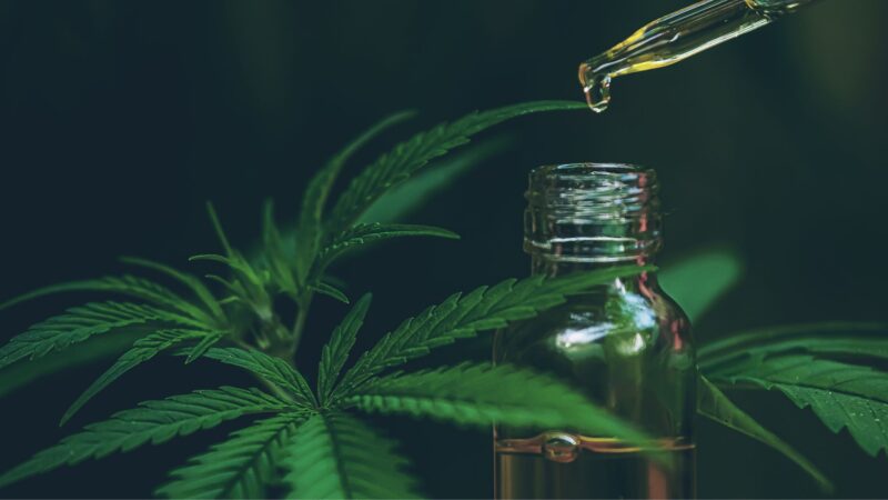 Is CBD Oil Legal in Canada? A Guide to Laws and Buying Safely