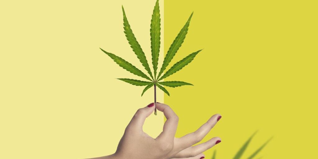 CBD Oil for Hormonal Balance