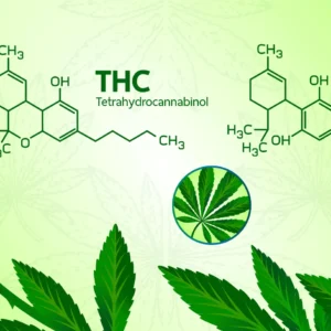 CBD vs. THC in Canada: Legal Differences Explained