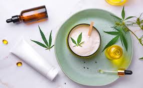 CBD Support Immune System