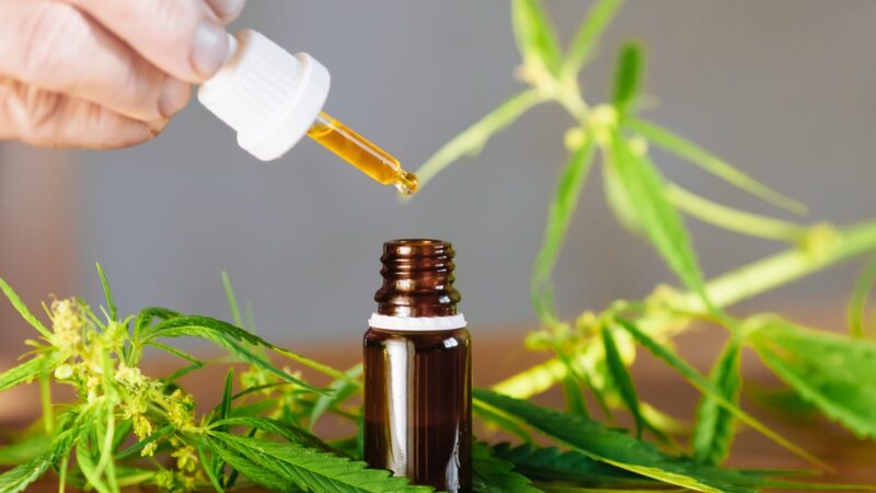 Top-Rated CBD Oil in Kansas: Are They Worth It?