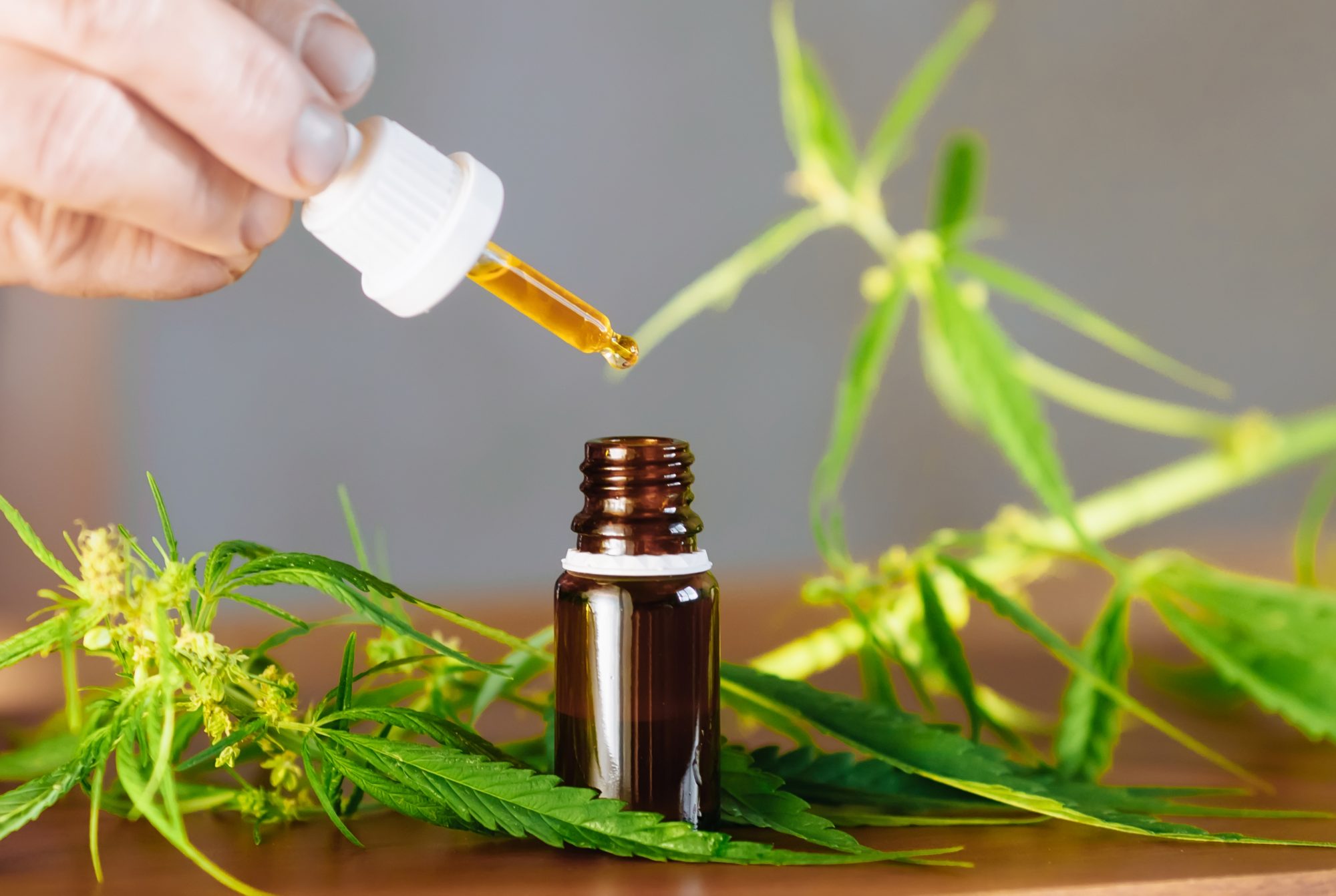 Top-Rated CBD Oil in Kansas: Are They Worth It?
