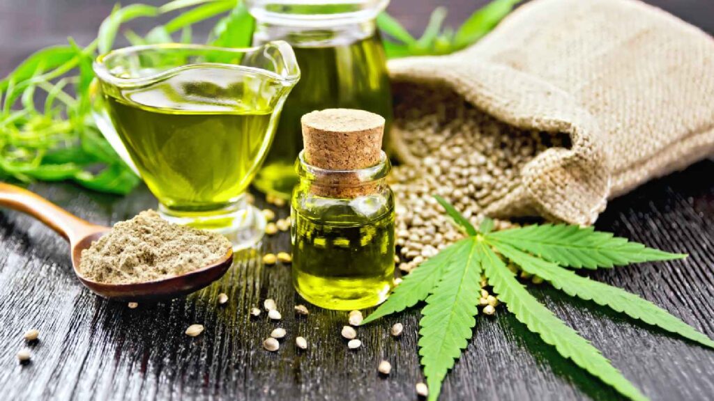 Why CBD Oil Is Becoming Popular in Wellness Culture